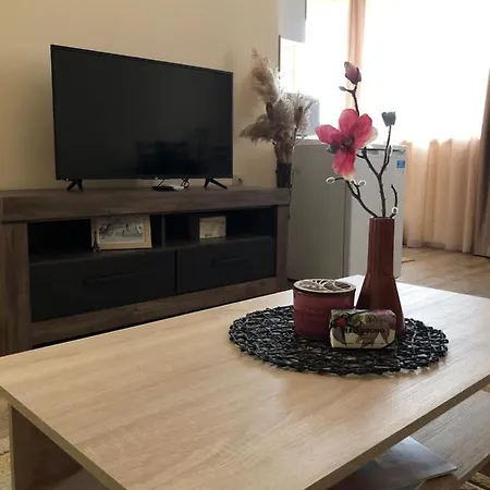 Apartment Luxury 1 Free Underground Secure Parking Pasardschik