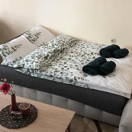 Apartment Luxury 1 Free Underground Secure Parking Pasardschik